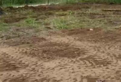 Teren de 550 mp, în Bod - 4