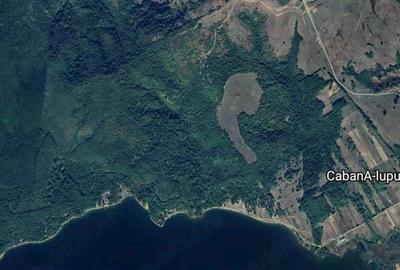Casă cu Teren 6000 Mp în Bucovăț (Dumbrava) - 4