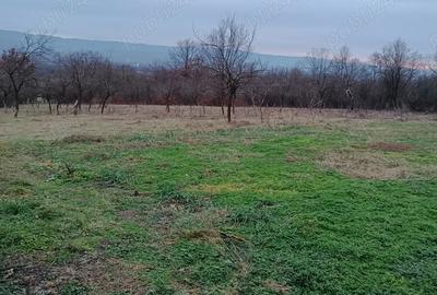 Casă cu 2 camere în Ilia - 1