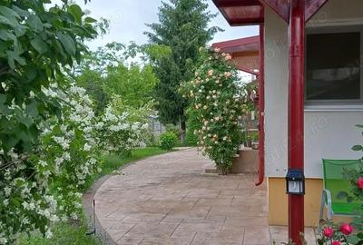 Casă cu Teren 1172 Mp în Corbeanca - 3