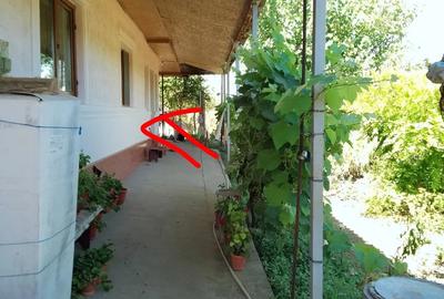 Vind casa la tara - 7