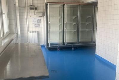 Spatiu industrial - productie alimentara de vanzare str. Fabricilor - 12