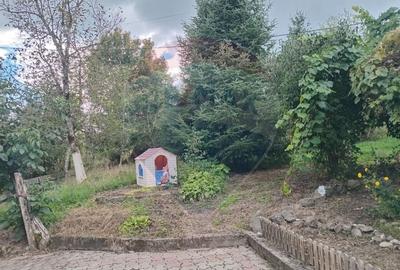 OCAZIE!!! CASA SUPERBA cu teren in JULITA jud Arad in M tii Zarandului - 15