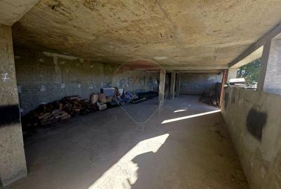 Casă individuală cu 5 camere cu Teren 2700 Mp în Alexandru cel Bun - 9