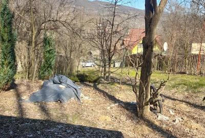 Teren Construcții intravilan de 1050 mp, în Pietrari (Păușești-Măglași) - 3