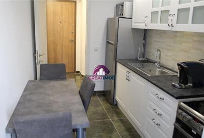 GARSONIERA 46MP ODAI OTOPENI - 12