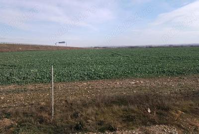 Vindem teren intravilan Biharia - 2