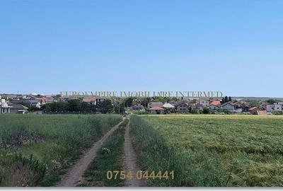 Teren de vanzare intravilan 5000mp localitatea Lazu - 2