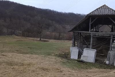 Casă cu 2 camere în Central - 8