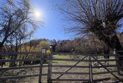 Spațiu comercial, în Uleni - 6