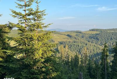 Teren de 500000 mp, în Ciocănești - 3
