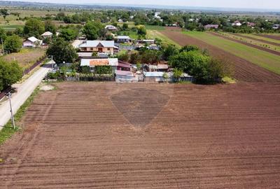 Teren Tifesti / Strada Secundara 47 - 8
