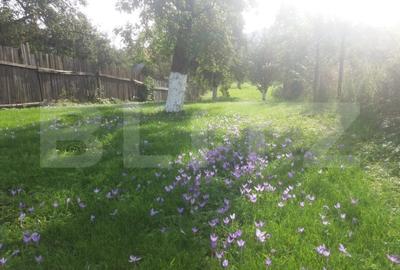 Vanzare Casa in Sacele - Locuinta cu Teren Generos cu Potential -de Renovat - 16