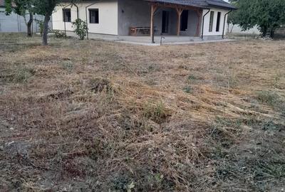 Casa de vanzare,sat Ceacu,comuna Cuza-Voda,judetul Calarasi - 3