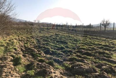 Teren de 2,199 mp cu potential in Covasant, zona deal - 3
