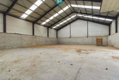 Hala industriala de 411mp Jebel, Timi? - 5