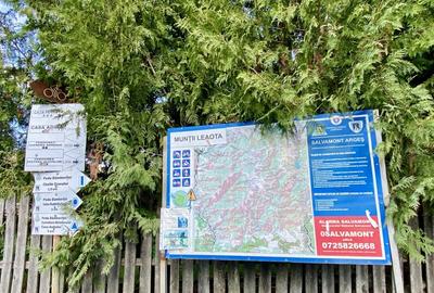 Teren panoramic insorit, utilitati, panta mica si padure, turism sau vacanta - 3