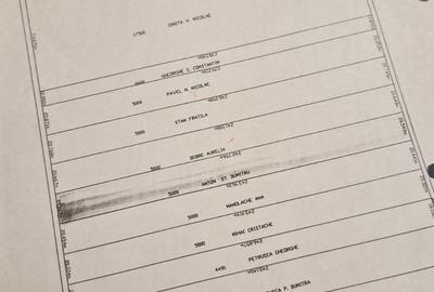 Teren de 5000 mp, în Snagov - 2