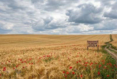 Teren de 33000 mp, în Smirna - 1