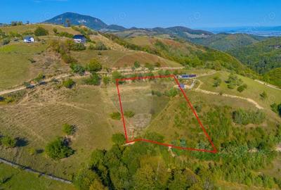 Teren extravilan 6,014mp | Holbav | BRASOV | COMISION 0| - 3