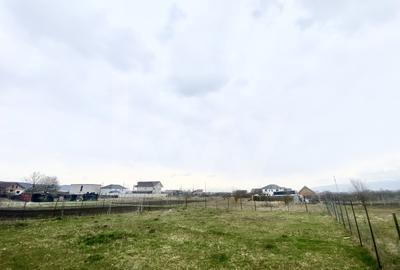 Teren Construcții intravilan de 500 mp, în Veterani - 3