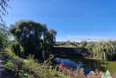 Vila 4+ camere, iaz cu peste, livada, 5300 mp teren, foisor, pivnta si crama, in - 6