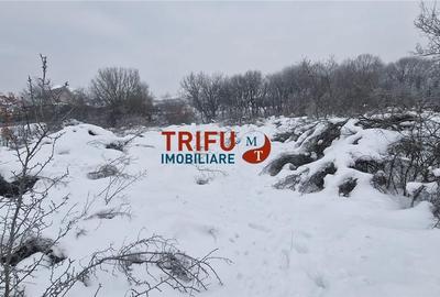 Spațiu comercial, în Central