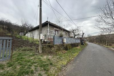 Spațiu comercial, în Corpadea - 3