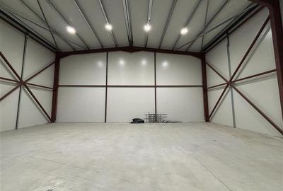 Inchiriere depozit/hala/spatiu industrial Theodor Pallady - Drumul Intre Tarlale - 6