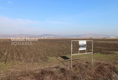 Teren Construcții intravilan de 25000 mp, în Sânpaul - 7