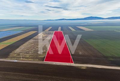 Teren Construcții intravilan de 16000 mp, în Hărman - 9