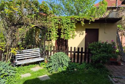 Casa 8 camere D+P+M Elisabetin-Rebreanu - 2