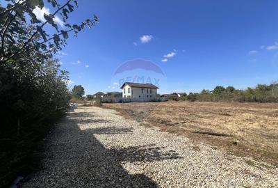 Teren ideal pentru casa de vis in Mogosoaia - 849,3 mp, cu utilitati - 8
