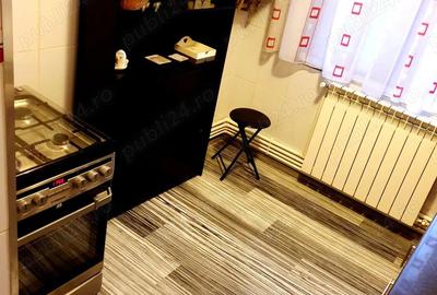 Vanzare apartament 2 camere zona PARFUMUL TEILOR Vanzare apartament 2 camere zona PARFUMUL TEILOR - 8