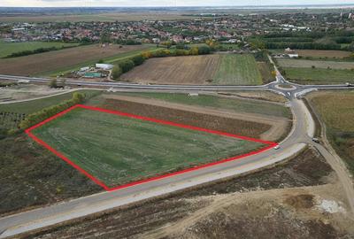 Teren pentru hala - Biharia - IMOBIHOR - 6