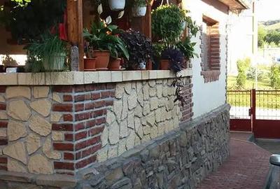 Casa de vanazare in Sandule?ti - 2