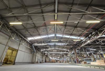 Spațiu industrial, de 16,000 mp, în Vest - 2