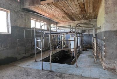 Spațiu comercial, în Breaza - 8