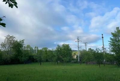 Teren de 1140 mp, în Brebu - 4