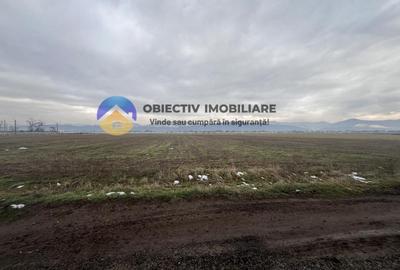 Teren de 4500 mp, în Dumbrava - 3