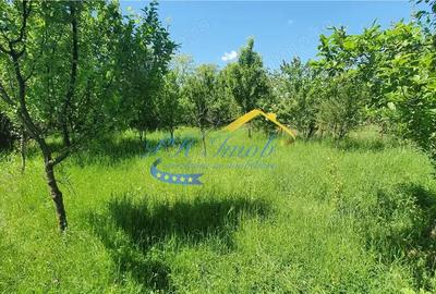 Teren intravilan de vanzare, Banesti Prahova - 3