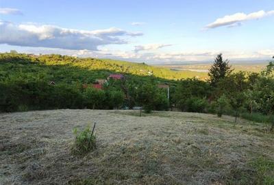 Teren Construcții intravilan de 1765 mp, în Podgoria