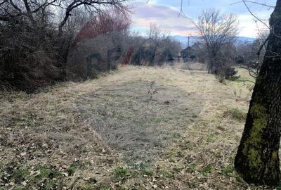 Casă cu 3 camere cu Teren 2821 Mp în Câmpulung la Tisa