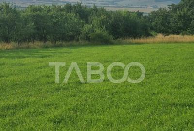 Teren pretabil cabana sau gradina 1670 mp zona deosebita Sib - 3