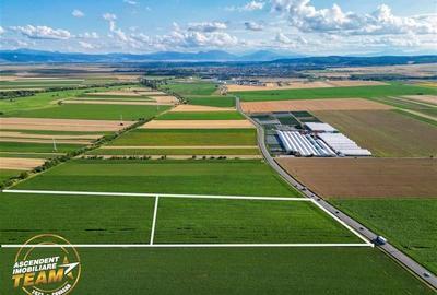FILM! 30.200 mp teren intravilan,recomandat: investitie/exploatare agricola,Vale