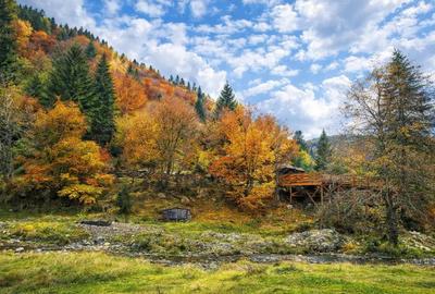 Teren în Zărnești - 2