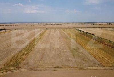 Teren de 7500 mp, în Central