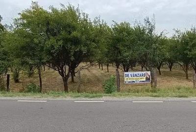 Teren 7150 mp de vanzare in Oesti Arges - 3