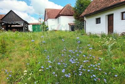 Casă individuală cu 4 camere cu Teren 1631 Mp în Șomartin - 3