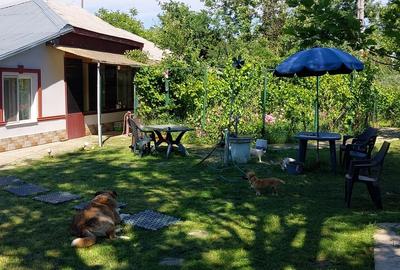 Gorneni pe DN6/E70 1.600 mp, casa la sosea langa Bucuresti - 4